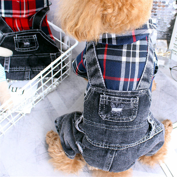 Salopetă din denim pentru un câine