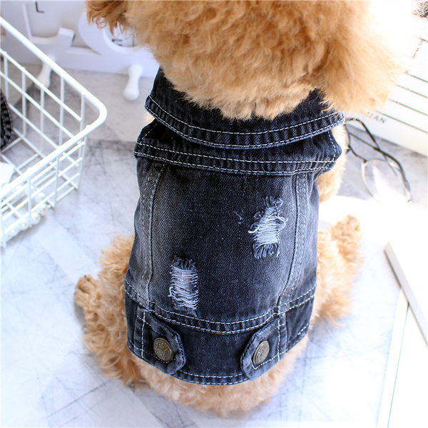 Kahes värvitoonis teksavest koertele