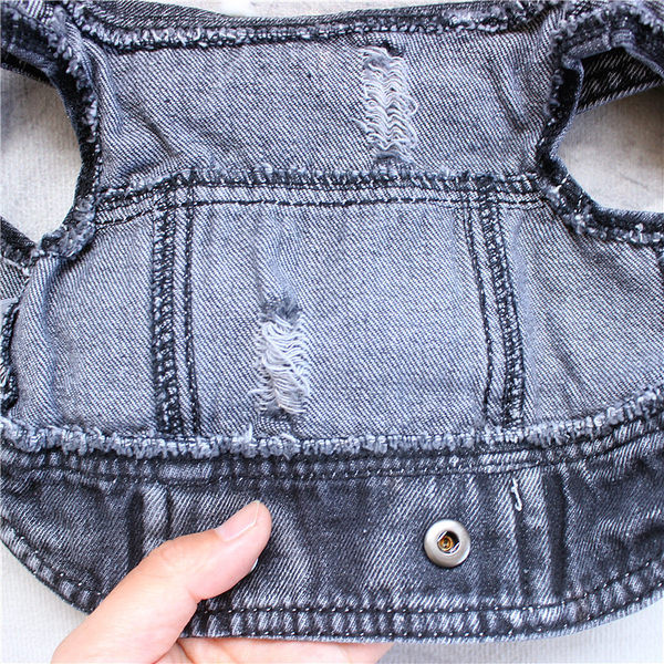 Kahes värvitoonis teksavest koertele