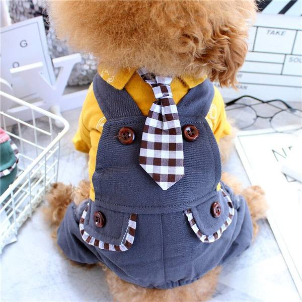 Salopeta de toamna-iarna pentru caini