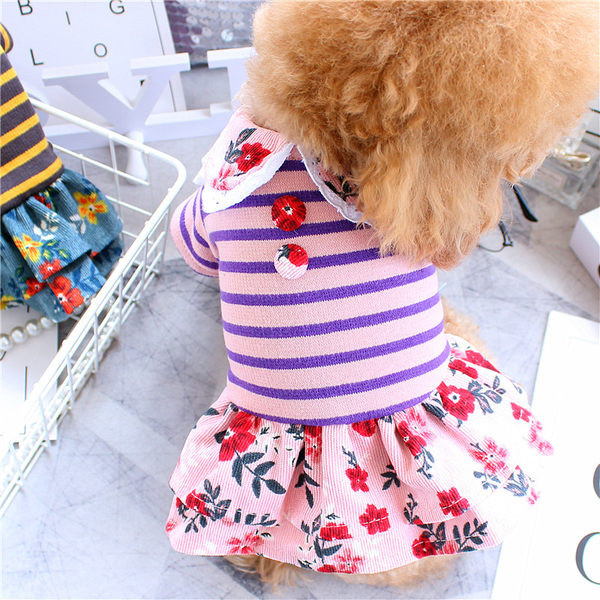 Rochie in dungi cu bucle pentru caini