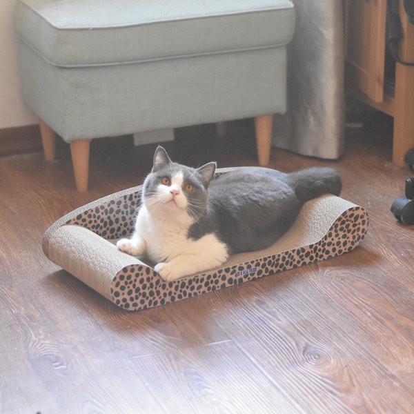 Scarlet pentru pisici din piele ondulata - mai multe modele