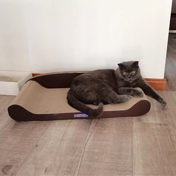 Scarlet pentru pisici din piele ondulata - mai multe modele