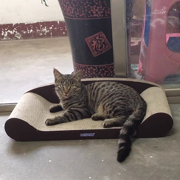 Scarlet pentru pisici din piele ondulata - mai multe modele