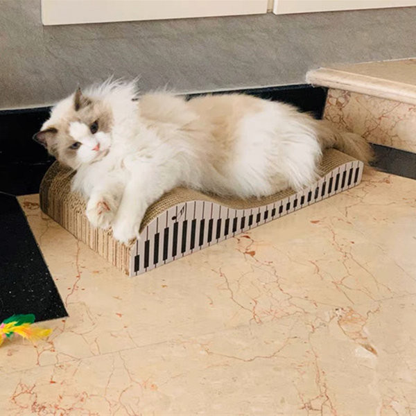 Scarlet pentru pisici din piele ondulata - mai multe modele