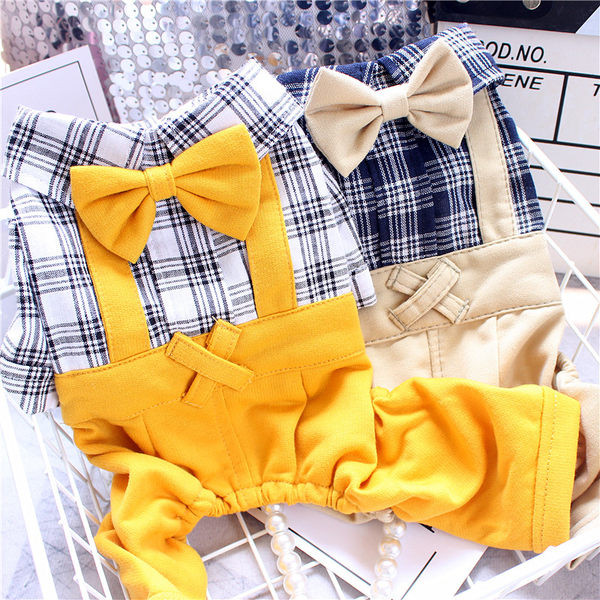 Kaelarihmaga kombinesoonid koertele