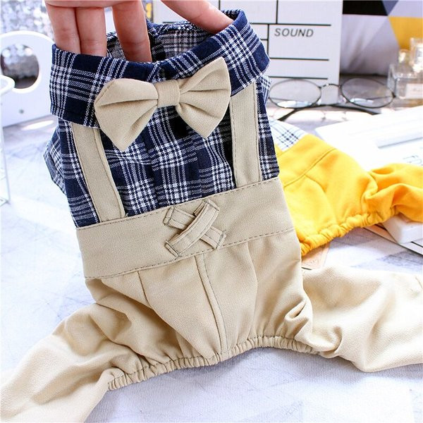 Kaelarihmaga kombinesoonid koertele