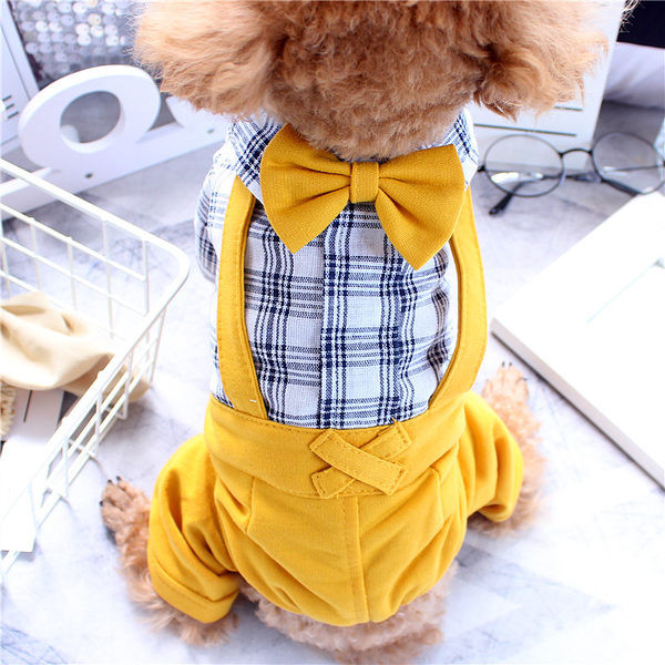 Kaelarihmaga kombinesoonid koertele