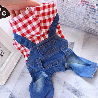 Koerte teksakombinesoonid