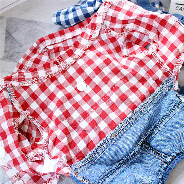 Koerte teksakombinesoonid