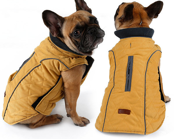 Vesta de iarna pentru caini in mai multe culori