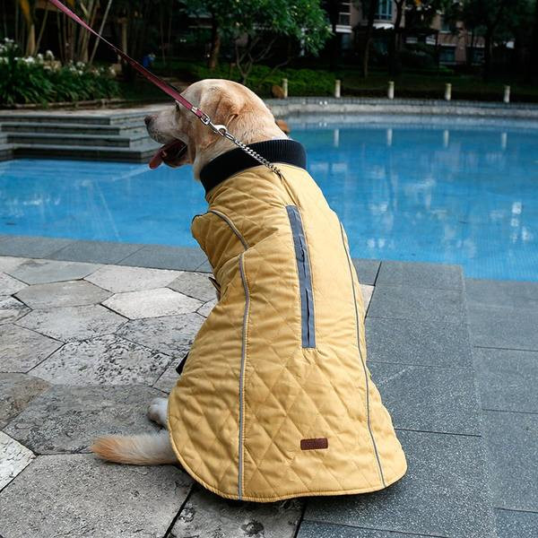 Vesta de iarna pentru caini in mai multe culori