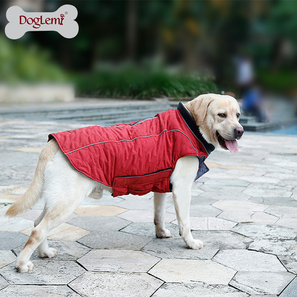 Vesta de iarna pentru caini in mai multe culori