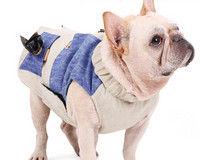 Tõmblukuga kardigan koertele