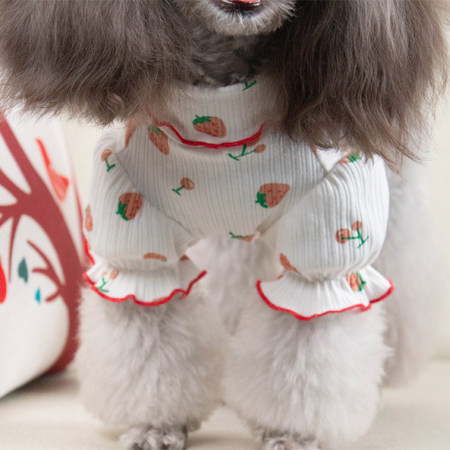 Bluza cu bucle pentru caini