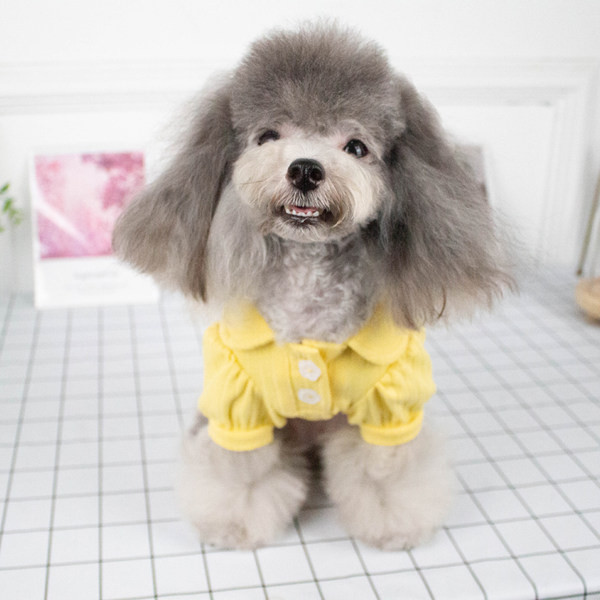 Košulja za pse s gumbima