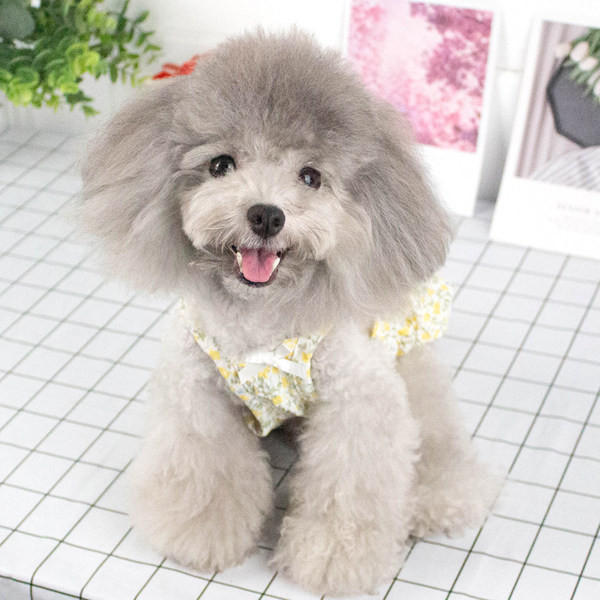 Salopetă cu model floral sau pălărie pentru câini