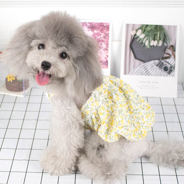 Salopetă cu model floral sau pălărie pentru câini