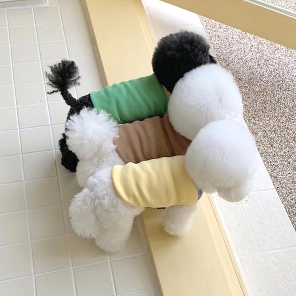 Vesta din bumbac pentru caini cu nasturi