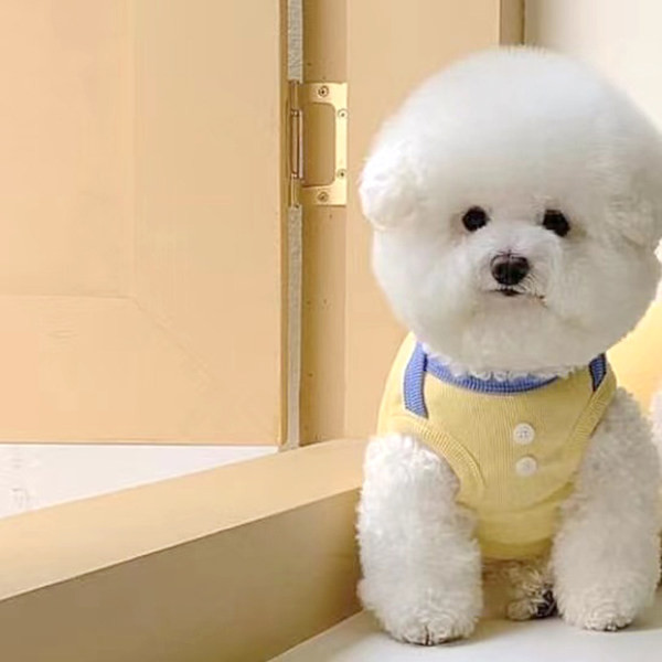 Vesta din bumbac pentru caini cu nasturi