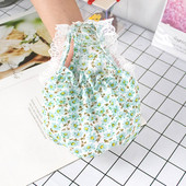 Haljina u obliku psećeg cvijeća s čipkom