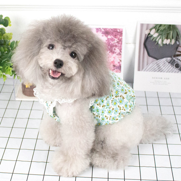 Haljina u obliku psećeg cvijeća s čipkom