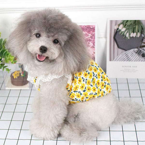 Haljina u obliku psećeg cvijeća s čipkom