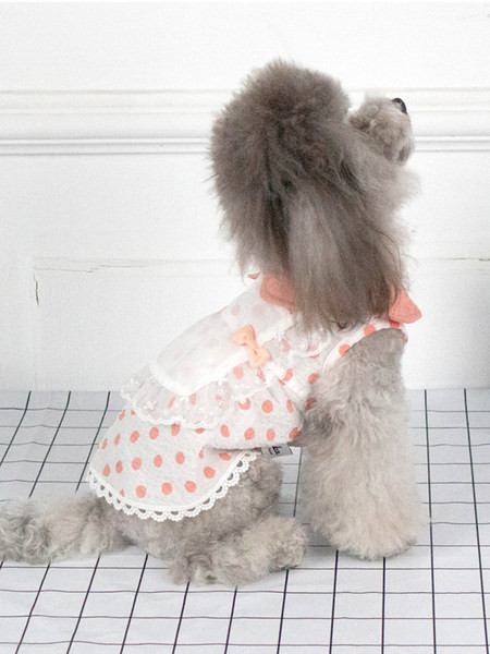 Rochie de câine punctată cu panglică