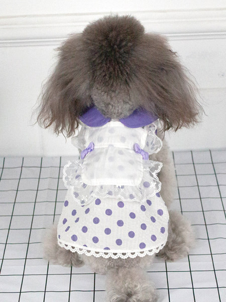 Rochie de câine punctată cu panglică