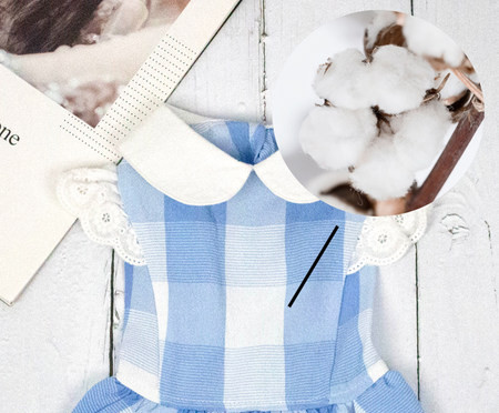 Ruuduline lokkidega kleit koertele