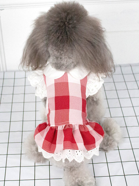 Ruuduline lokkidega kleit koertele