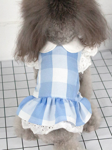 Ruuduline lokkidega kleit koertele