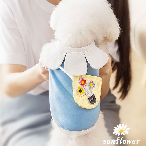 Ρούχα σκυλιών με ένα λουλούδι