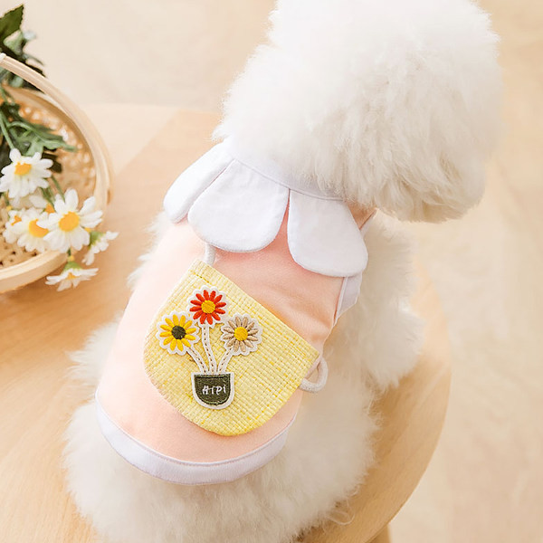 Ρούχα σκυλιών με ένα λουλούδι