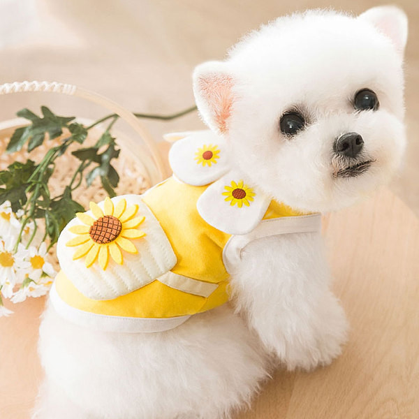 Ρούχα σκυλιών με ένα λουλούδι