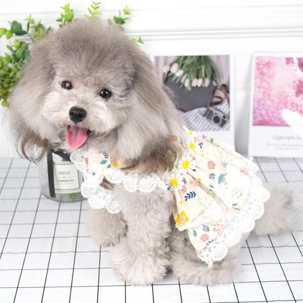 Rochie colorata cu dantela pentru caini