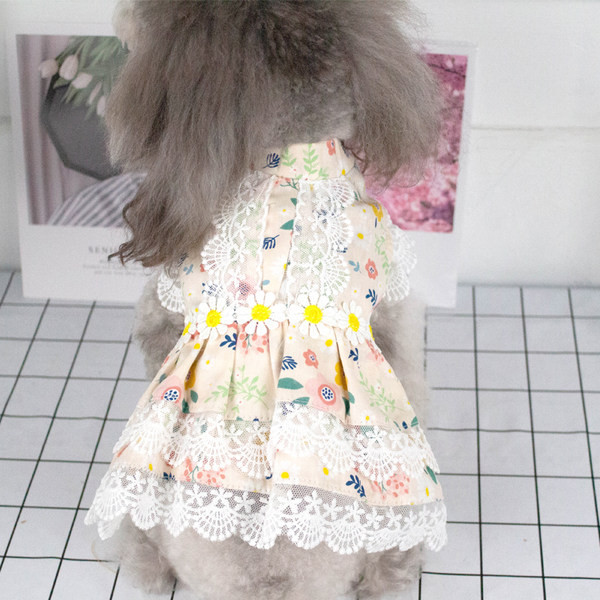 Rochie colorata cu dantela pentru caini