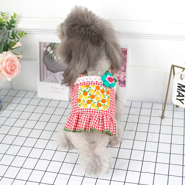 Plaidiga kleit koertele