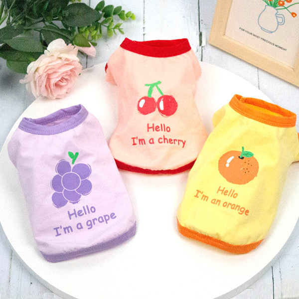 Aplikatsiooniga riided koertele