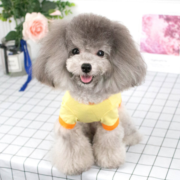 Aplikatsiooniga riided koertele