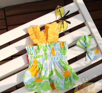 Värviline kleit koertele