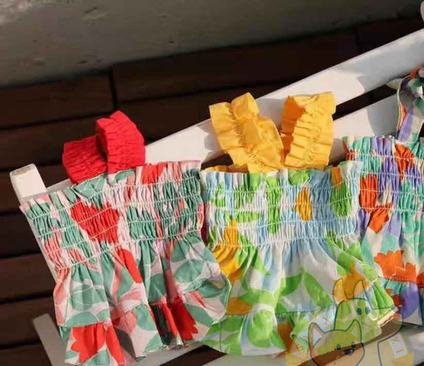 Värviline kleit koertele