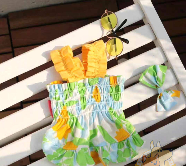 Värviline kleit koertele