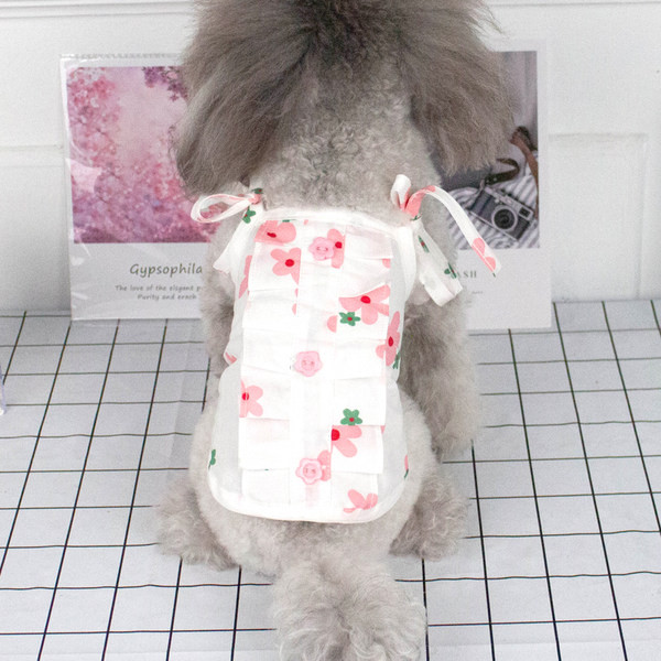 Lilledega koerakleit