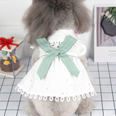 Valge paelaga kleit koertele