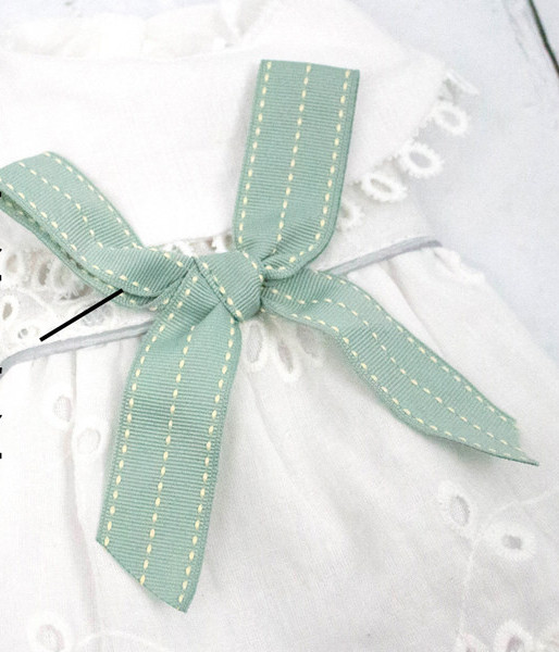 Valge paelaga kleit koertele