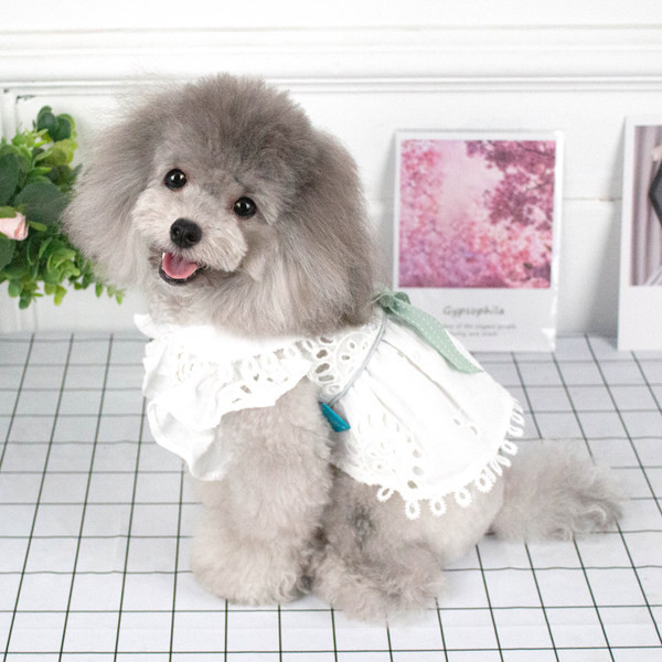 Valge paelaga kleit koertele