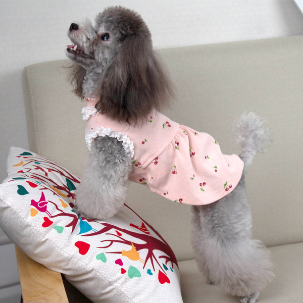 Rochie pentru câini cu bucle