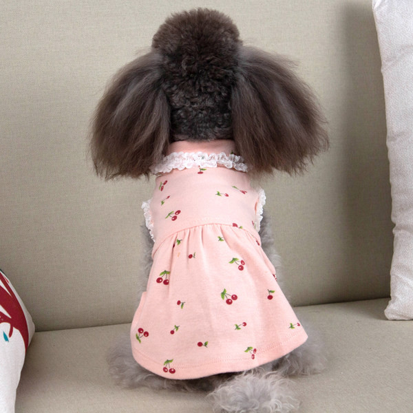 Rochie pentru câini cu bucle