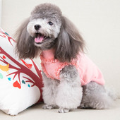 Haine pentru câini cu bucle